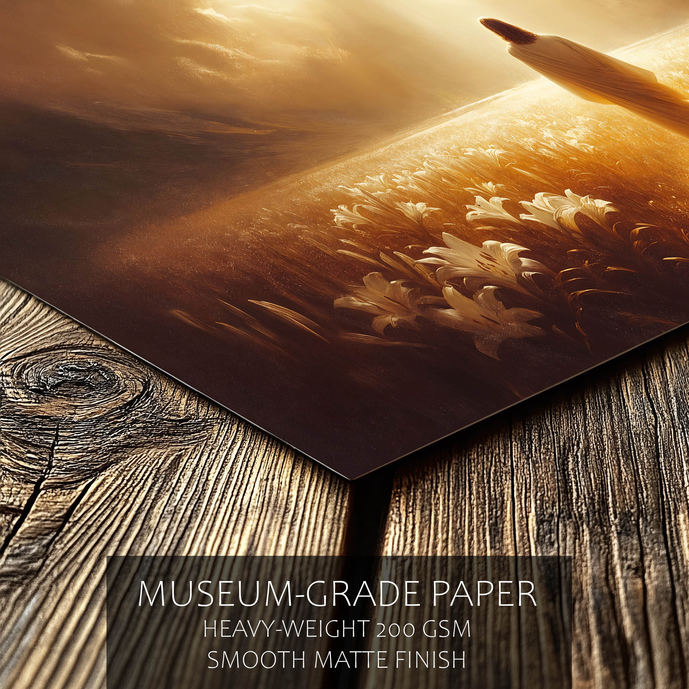 Lilies of the Field — image 4